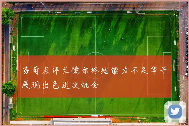 芬奇点评兰德尔终结能力不足华子展现出色进攻机会