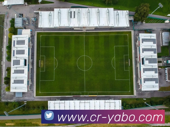 亚博足球平台生态图