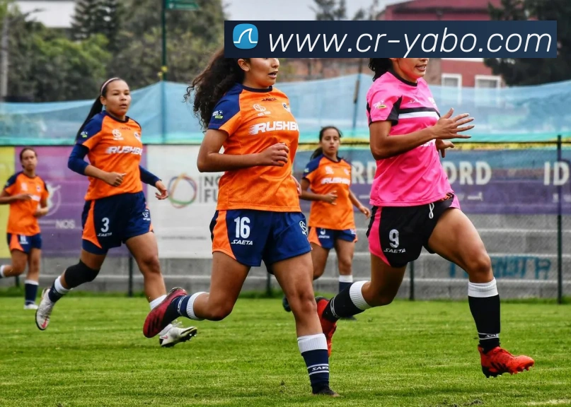 亚博足球APP 封面图